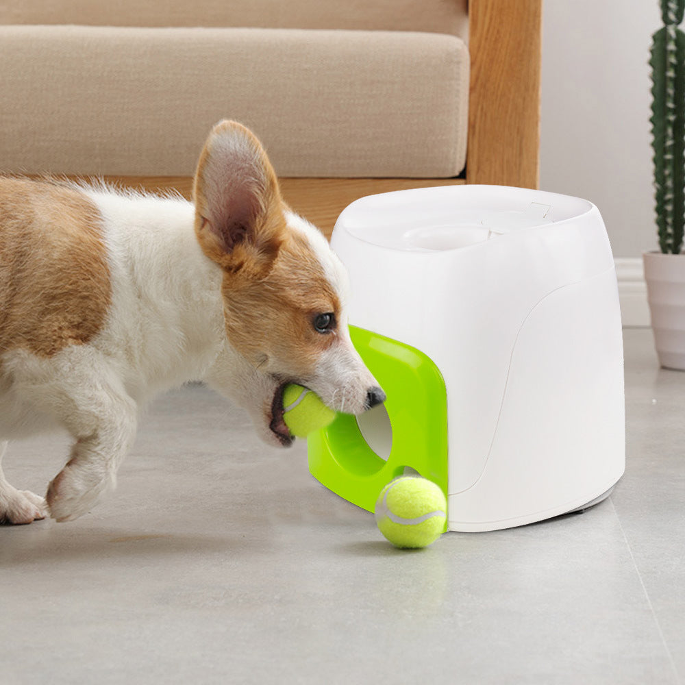 🎾 Maquina de Recompensa para Mascotas (30% OFF) 🐕