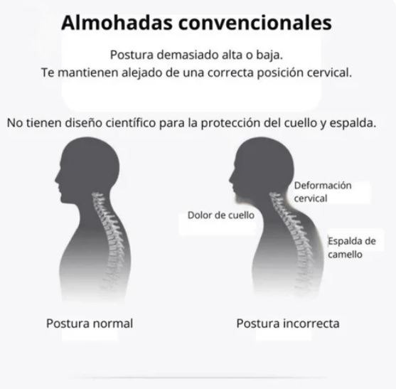 NeckRelief™ – Dormí bien, despertá sin dolor (+2 almohadas)