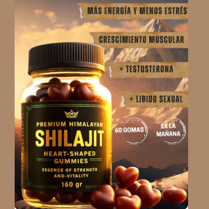 Shilajit Gomitas Dorado Nutrition: Energía y defensas en un formato delicioso y fácil de tomar